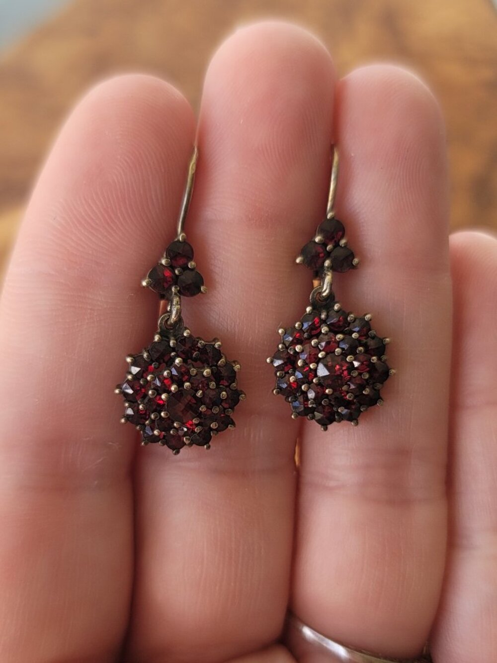 Antique Victorian Bohemian 900 Silver & Garnet Earrings